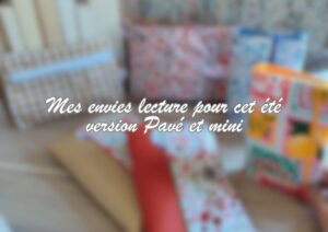 pavé ou mini(2)