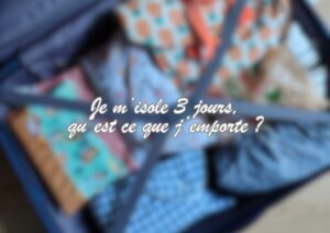 valise